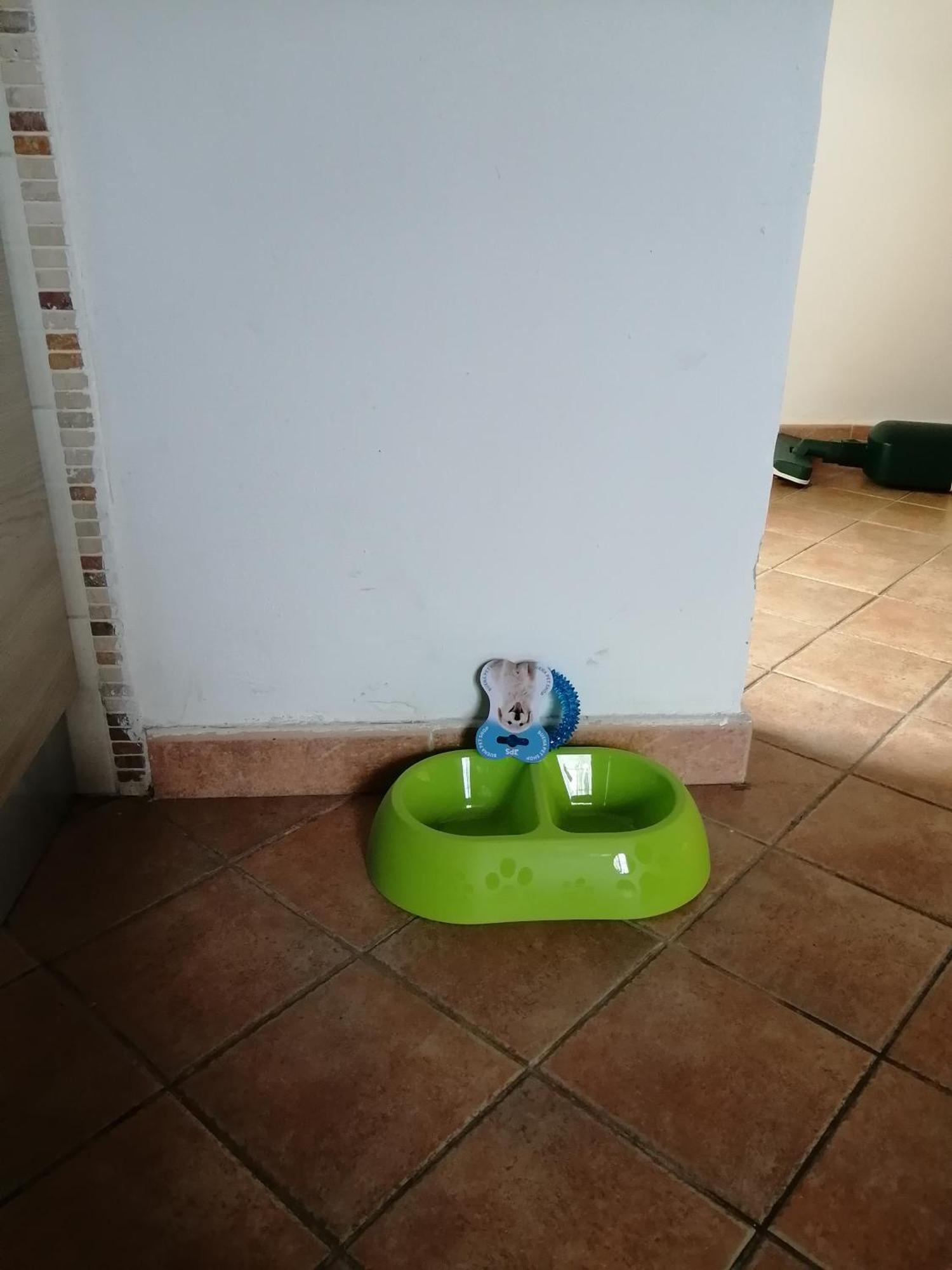 A Casa Mia Apartment Пиза Екстериор снимка
